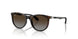 7182T5 - Tortoise - Light Grey Brown