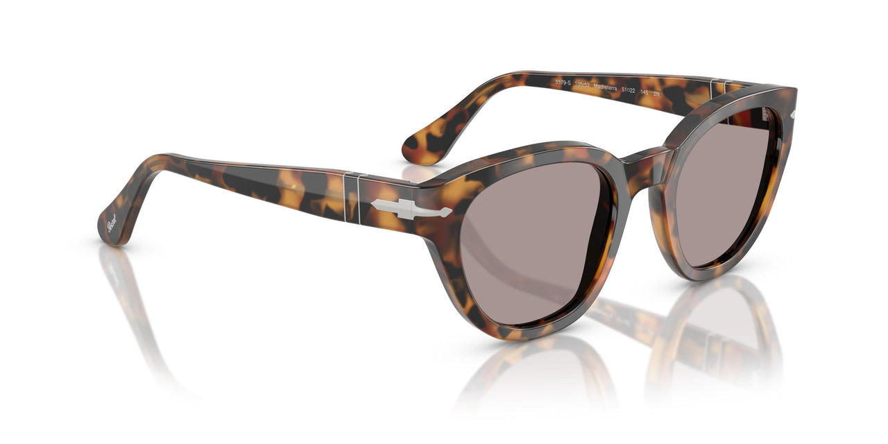 105253 - Tortoise - Violet