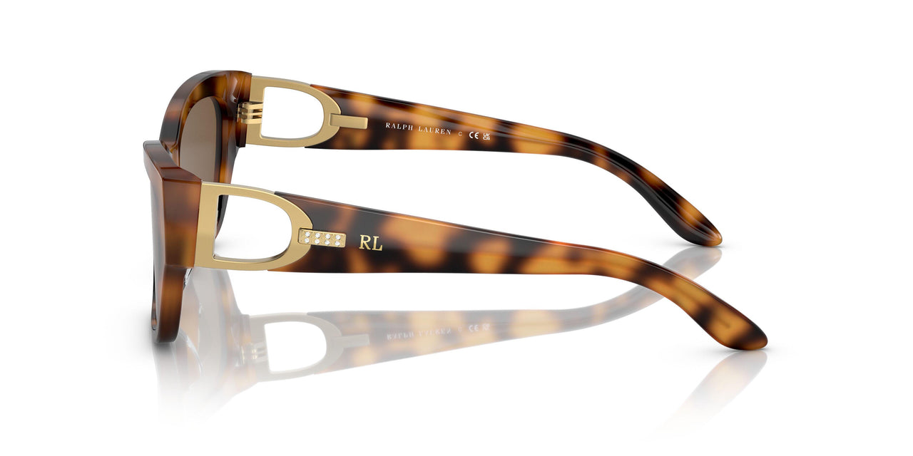 530373 - Havana - Dark Brown