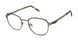 Aeropostale AERO4004 Eyeglasses