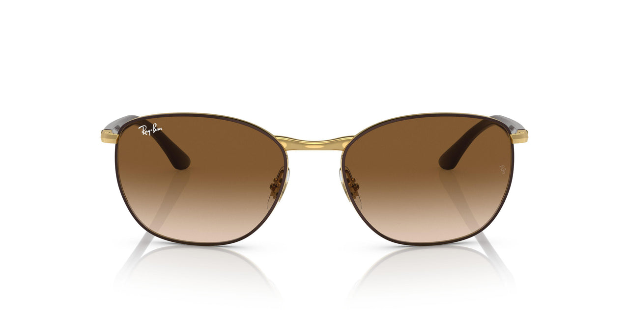 900951 - Brown - Clear Gradient Brown
