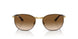 900951 - Brown - Clear Gradient Brown