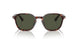 24/31 - Havana - Green