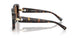 198173 - Tortoise - Brown