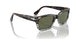 115958 - Brown - Green Polar