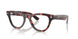 8118 - Tortoise - Clear