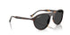 902/48 - Tortoise - Polar Black