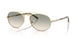 30022C - Gold - Brown Gradient Green