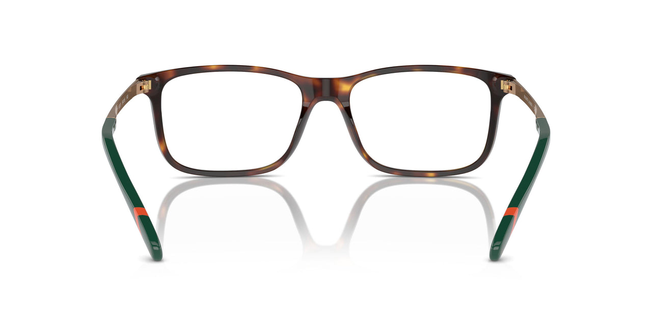 6137 - Tortoise