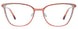 10 - Brown & Light Blue / Brown Transparent