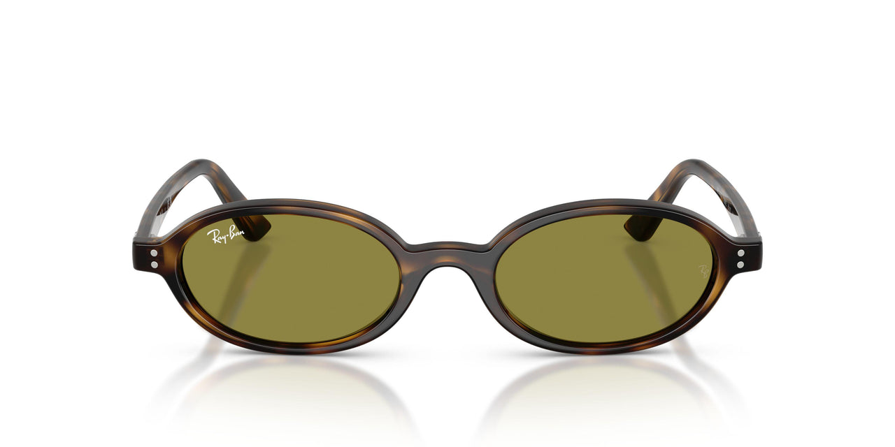 1359/2 - Tortoise - Green