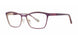 MTTPLMGLD - Matte Plum/Gold