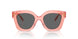 199087 - Orange - Dark Grey