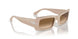 119551 - Brown - Clear Gradient Brown