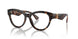 3002 - Brown