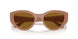 312183 - Beige - Dark Brown Polarized