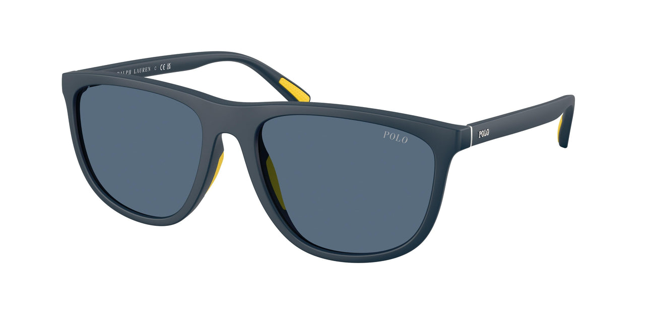 Polo 4231U Sunglasses