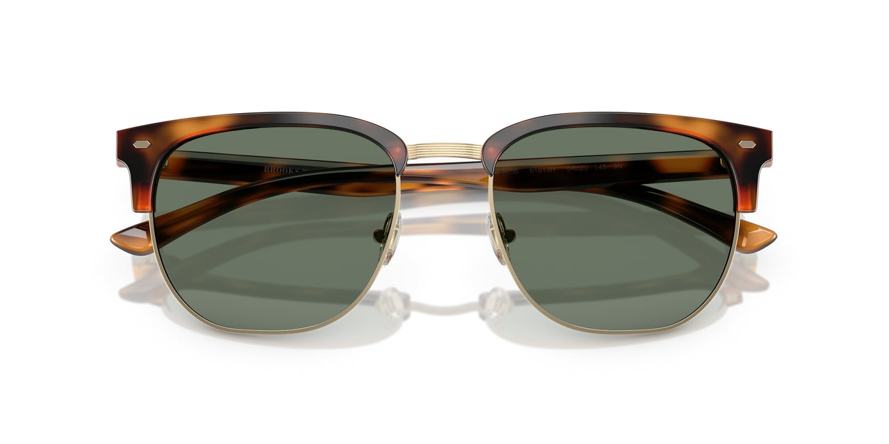 61613H - Tortoise - Dark Green Solid
