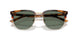61613H - Tortoise - Dark Green Solid