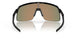 946310 - Black - Prizm Ruby