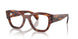 2144 - Brown - Clear