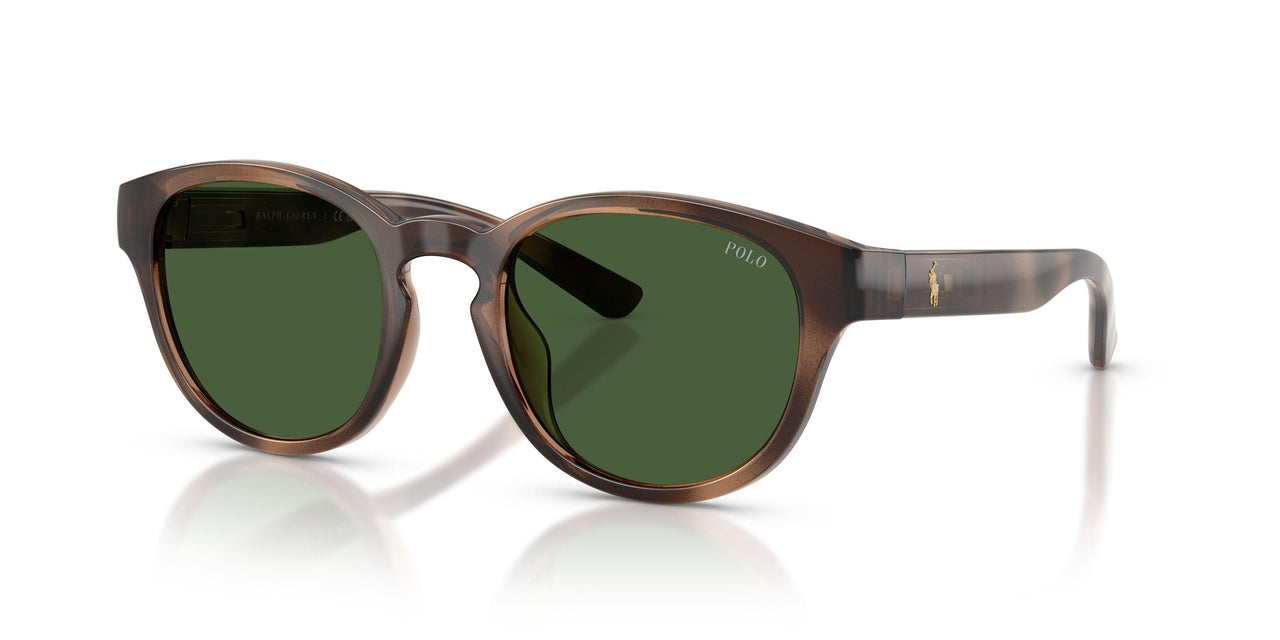 607071 - Tortoise - Bottle Green