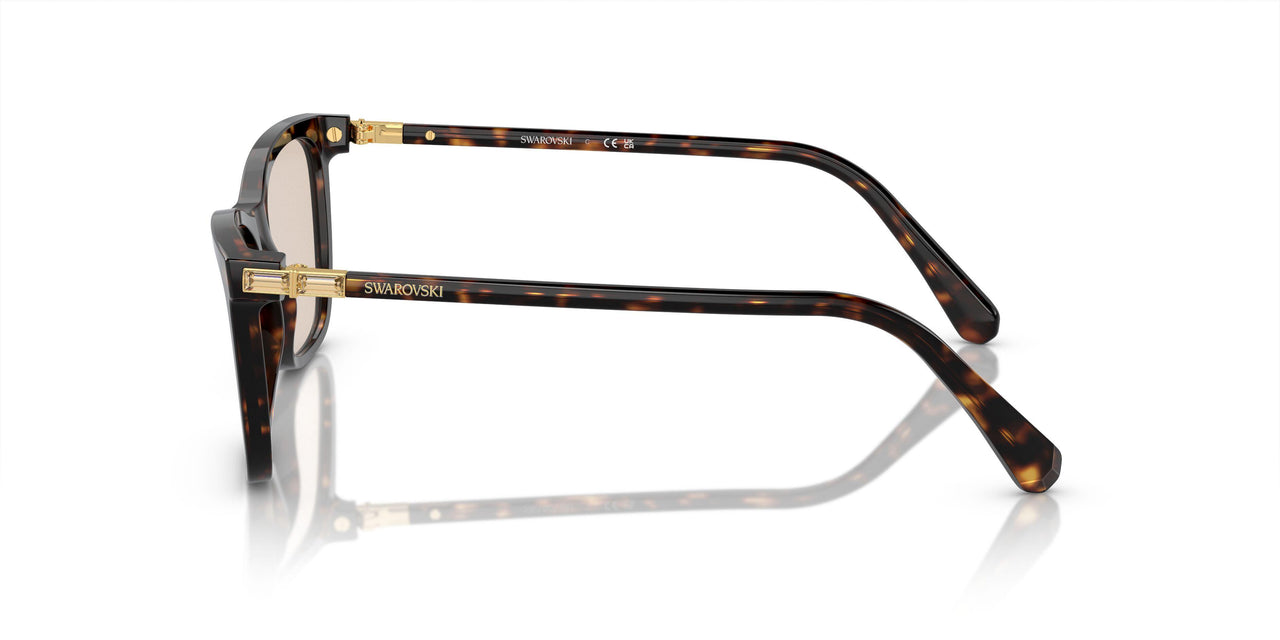 1002M4 - Brown - Photo Brown