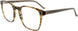 130 - Brown Stripe