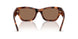 635173 - Tortoise - Brown