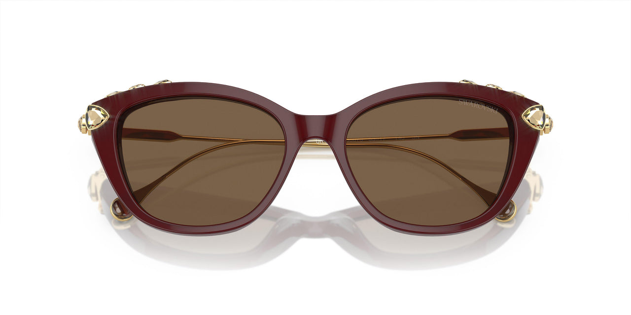 105673 - Violet - Dark Brown