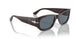 11743R - Brown - Dark Blue Polar