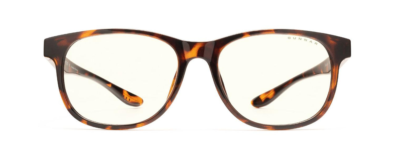 02309 - Tortoise - Clear Neutral-Focus