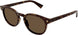 002 - Havana - Brown