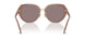 54957N - Brown - Purple Solid