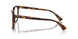 613773 - Tortoise - Brown