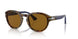 118433 - Havana - Brown