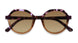 PUBR - Purple Brown