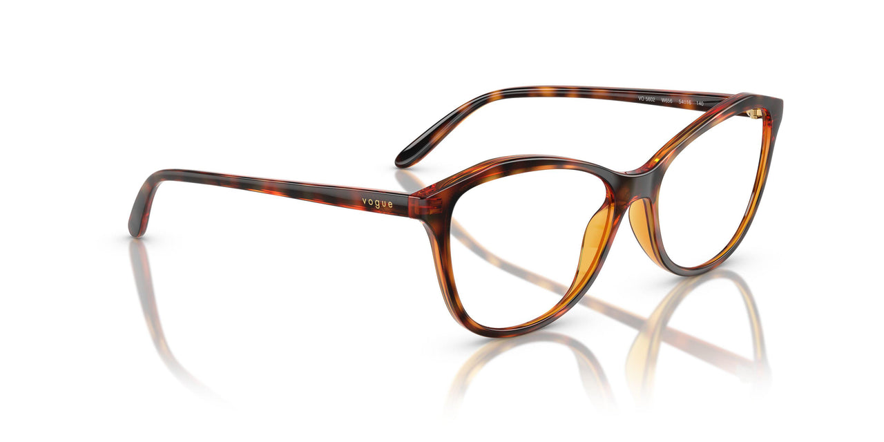 W656 - Brown