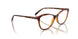 W656 - Brown