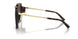 80153B - Tortoise - Brown Gradient