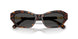 100287 - Tortoise - Dark Grey