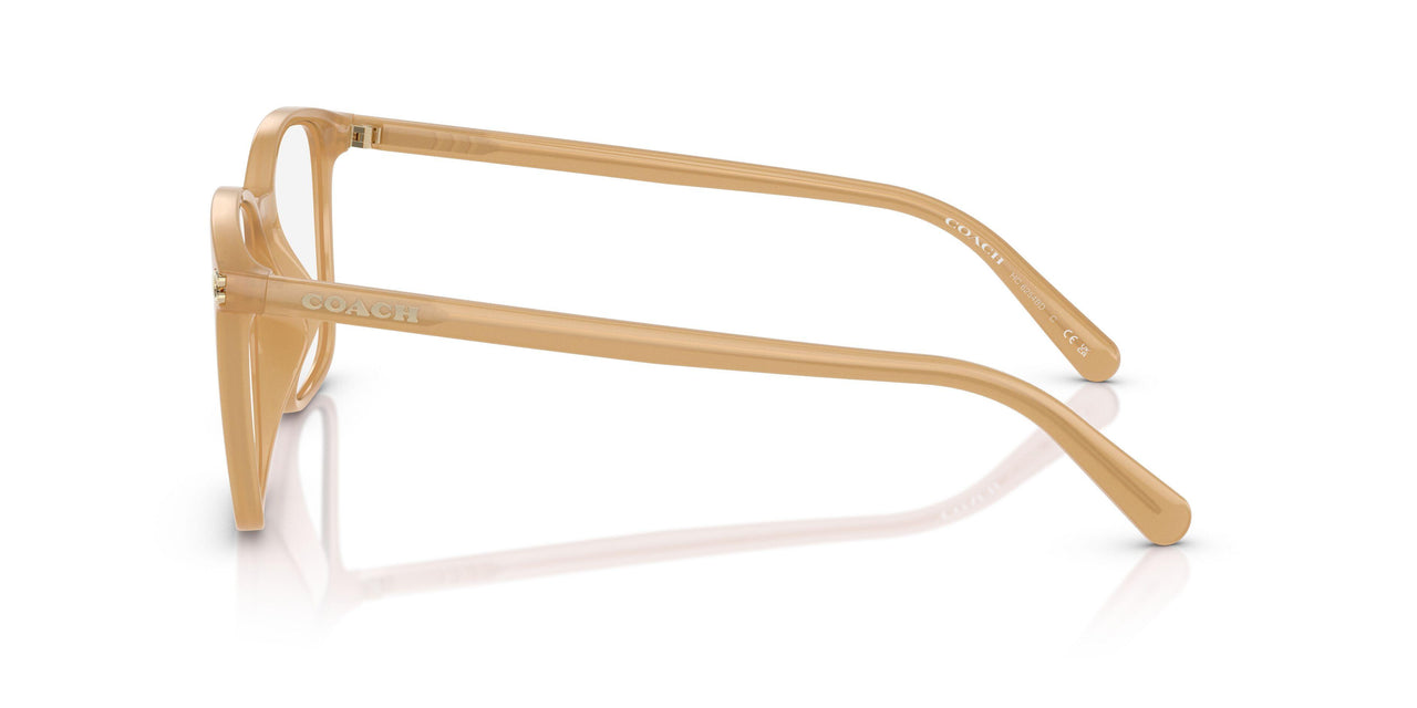 5854 - Brown