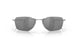 604703 - Silver - Prizm Black Polarized