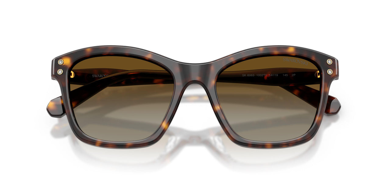 1002T5 - Tortoise - Polar Brown Gradient