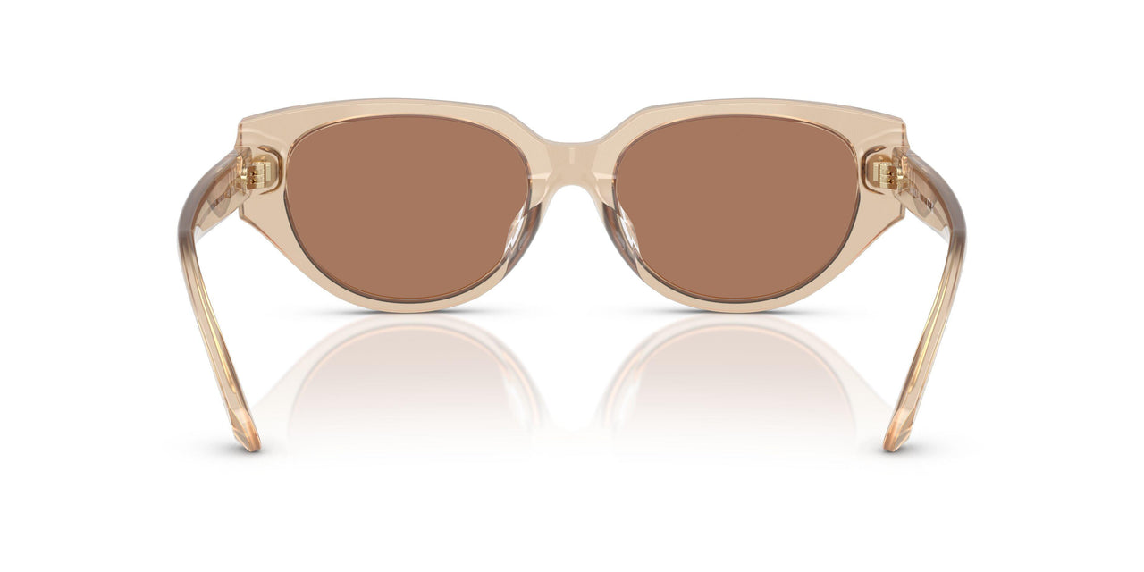 106673 - Beige - Brown