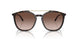 502613 - Tortoise - Gradient Brown