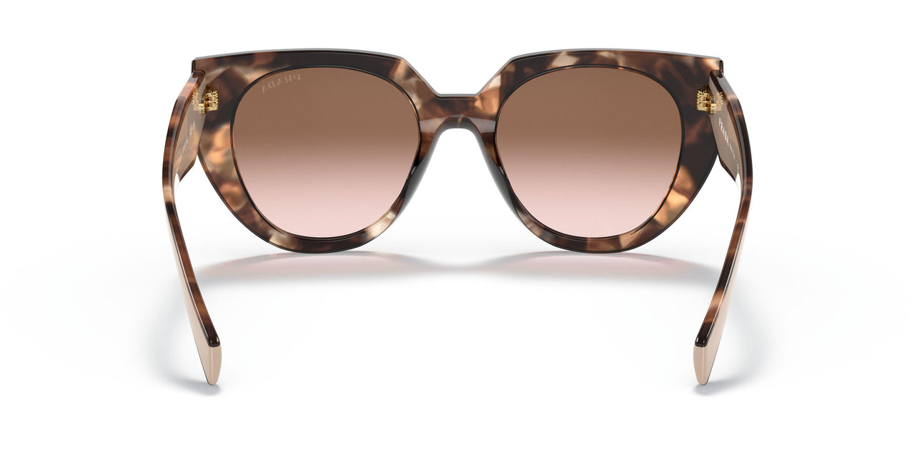 01R0A6 - Havana - Brown Gradient