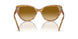 60832L - Tortoise - Gradient Yellow