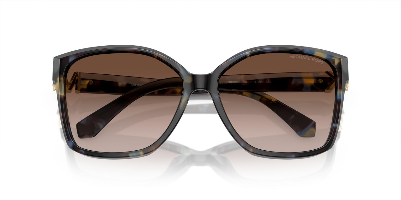 395213 - Bright Blue Tortoise - Brown Gradient