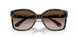 395213 - Bright Blue Tortoise - Brown Gradient